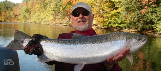 Slider - Fall Steelhead 2