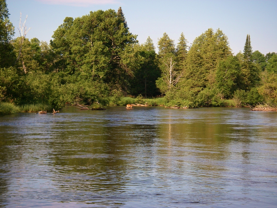 Manistee River Flow Chart