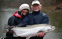 Spring Steelhead