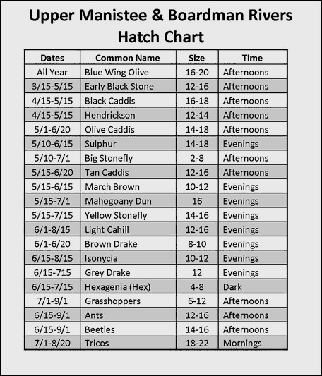 Ausable River Hatch Chart