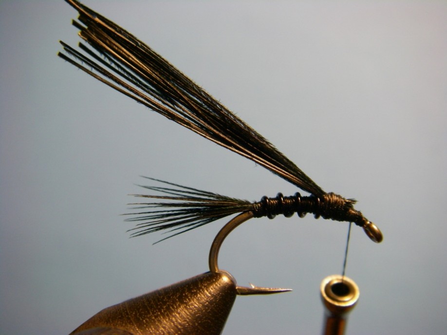 How to Tie Ted's Early Black Stonefly Nymph Pattern