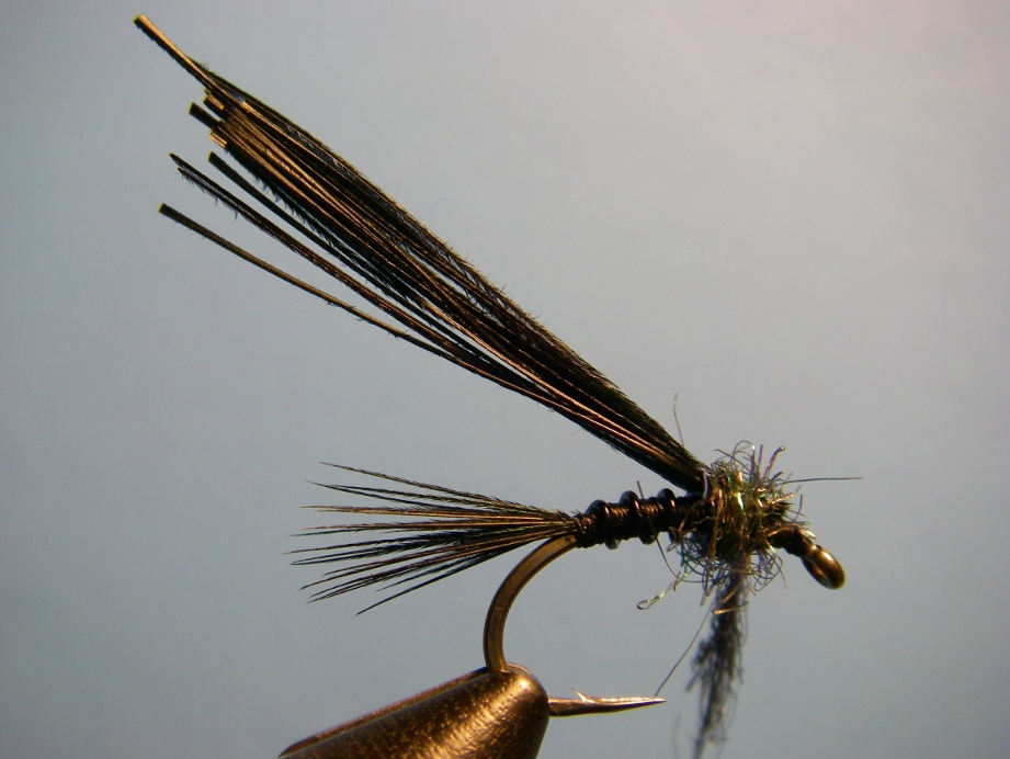 How to Tie Ted's Early Black Stonefly Nymph Pattern