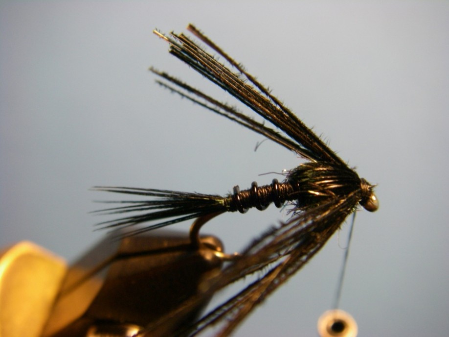 How to Tie Ted's Early Black Stonefly Nymph Pattern