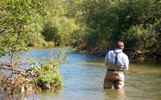 Betsie River Fly Fishing - Near Traverse City, MI