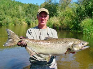 Betsie River Bright King Salmon - Guided Fly Fishing Trips