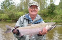 Betsie River Coho (Silver) Salmon