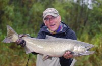 Betsie River Fresh Chinook Salmon