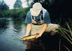 Boardman River - Fly Fishing For Brown Trout
