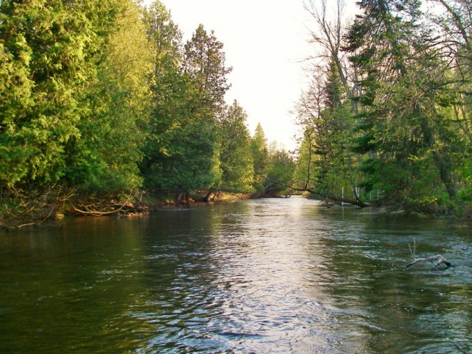 Boardman River Trout Fishing - Traverse City, MI