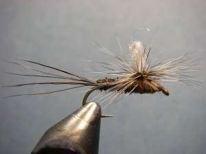 Borchers Drake Fly Pattern - Parachute