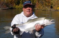 Egg Eating Fall Steelhead