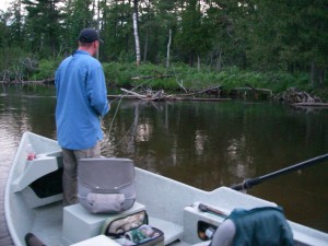 Fighting Fish - Survey the Water for Potential Obstacles