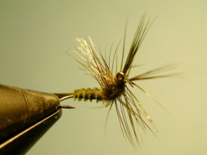 After the Hex - Blue Wing Olive (BWO)
