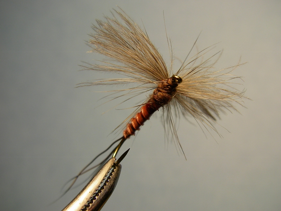 Fly Fishing For Trout After the Hex Hatch - Current Works Guide