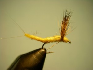 Demystifying The Hex Hatch - Fly Fishing, Gink and Gasoline, How to Fly  Fish, Trout Fishing, Fly Tying