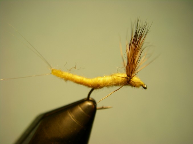 Fly Fishing For Trout After the Hex Hatch - Current Works Guide