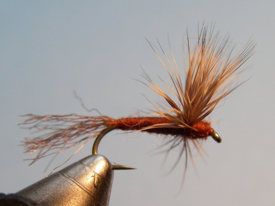 Fishing Before the Hex - Mahogany Dun - Current Works Guide Service