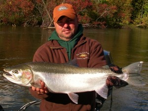 Gallery - Fall Steelhead Buck