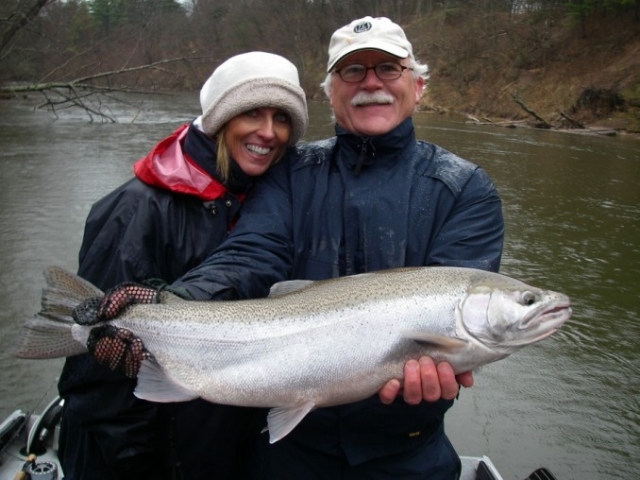 Gallery - Fat Spring Steelhead