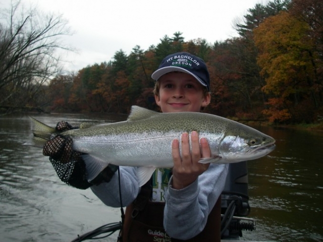 Gallery - Fish Hawk Fall Steelhead