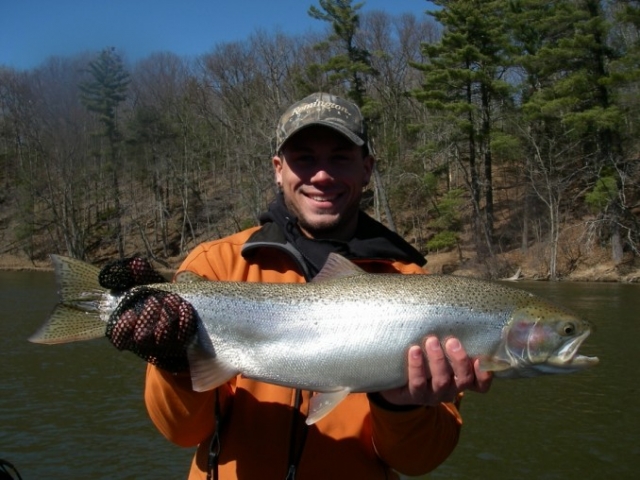 Gallery - Spring Steelhead