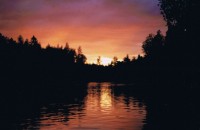 Guide Trips - Fly Fishing the Manistee River