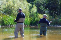 Introduce Fly Fishing to Colleagues