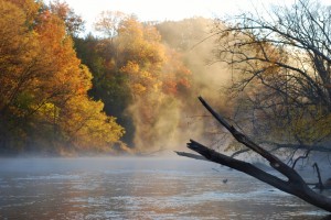 Lower Manistee River in the Fall
