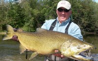 King Salmon Fly Fishing - Betsie River Near Traverse City