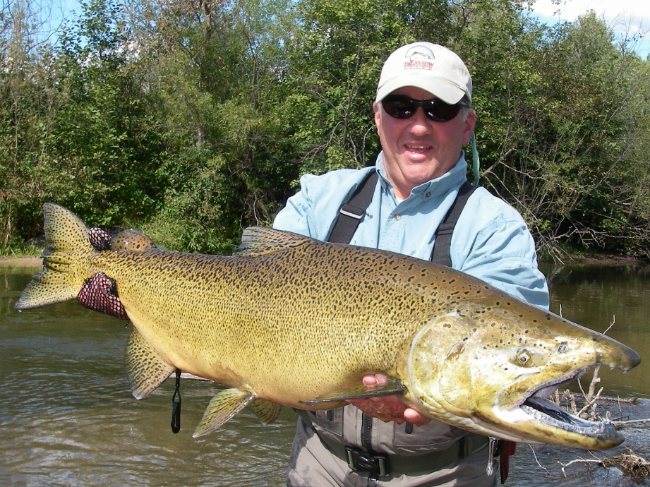Fly Fishing for Salmon on Michigan's Manistee and Betsie Rivers