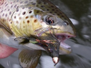 Streamer Fishing Tips for Trout