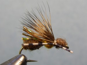 Terrestrial - Galloup's Ant Acid Fly Pattern