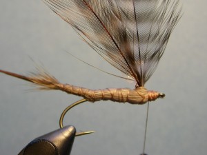 How to Tie the Thing-a-ma-Hex Fly Pattern for Hex Fishing at Night