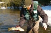 Trout - Winter Fly Fishing