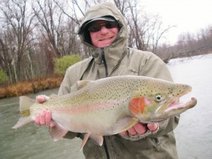 Try Swinging Flies For Steelhead