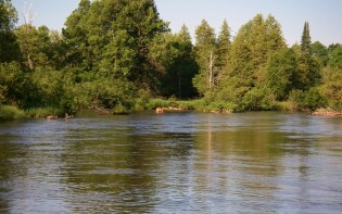 Upper Manistee River and Deer