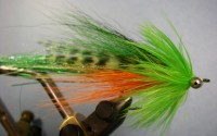 Whistler Fly Pattern - Fire Tiger