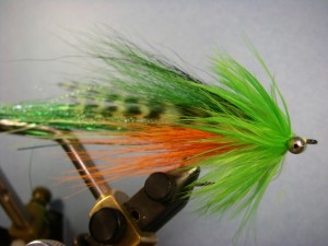 Whistler Fly Pattern - Fire Tiger