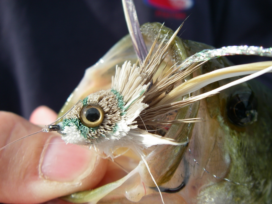 Fly Fishing for Largemouth Bass - Northern Michigan - Current