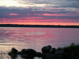 Largemouth Bass - Sunset