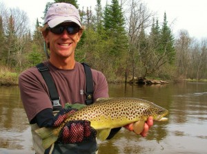 Lamprey - Chestnut Fish