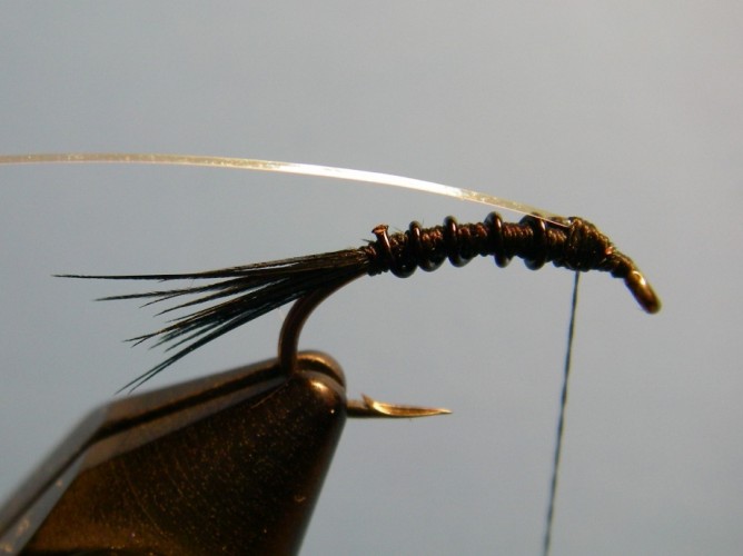 Early Black Stonefly Nymph Optional Step 3.5