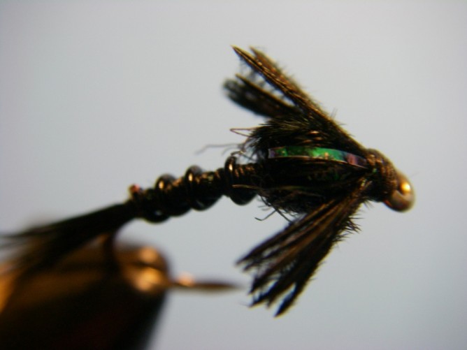 Early Black Stonefly Nymph Optional Step - 7.5