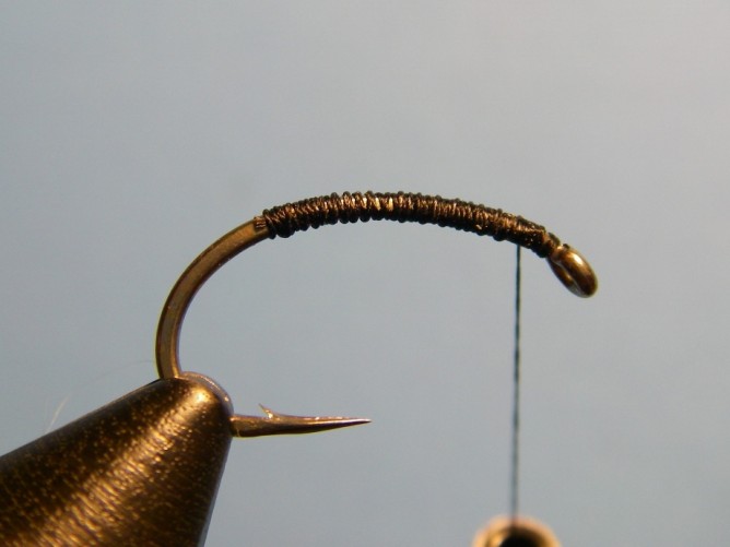 Early Black Stonefly Nymph Step - 1