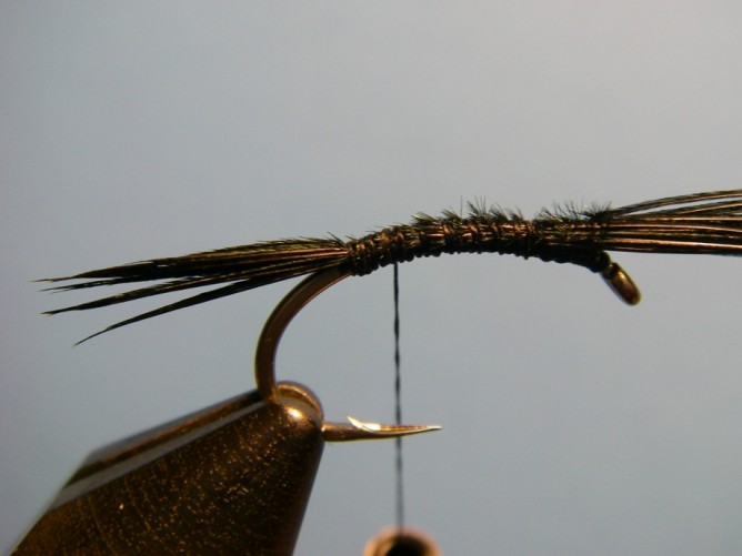 Early Black Stonefly Nymph Step - 2