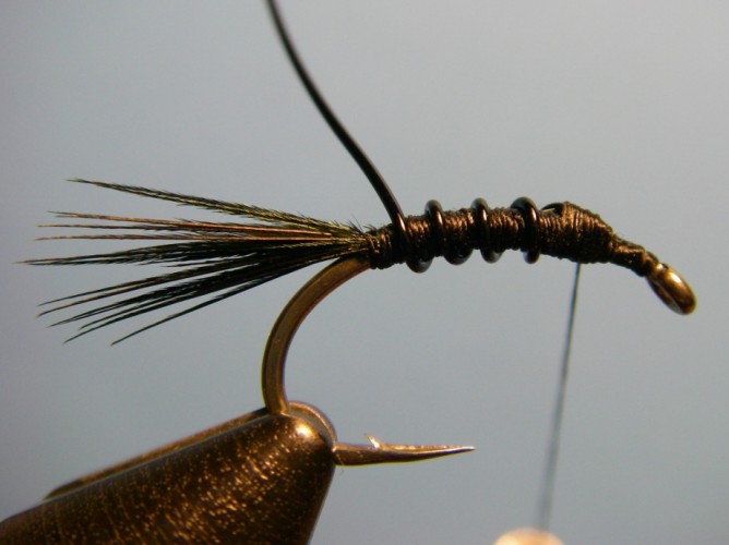 Early Black Stonefly Nymph Step - 3