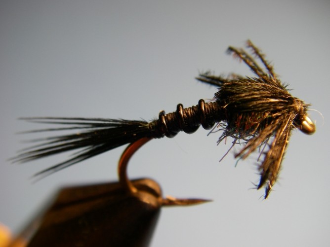 Early Black Stonefly Nymph Step - 8