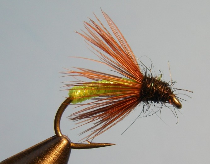 Top 5 Steelhead Flies for Michigan - Current Works Guide Service