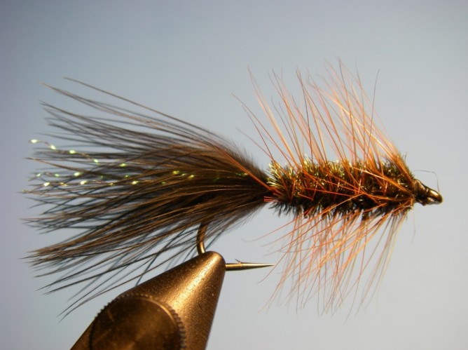 Top 5 Steelhead Flies for Michigan - Current Works Guide Service