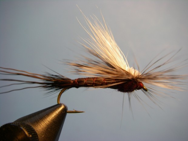 Tilt-Shoot Iso Dry - Isonychia Fly Pattern - How to tie